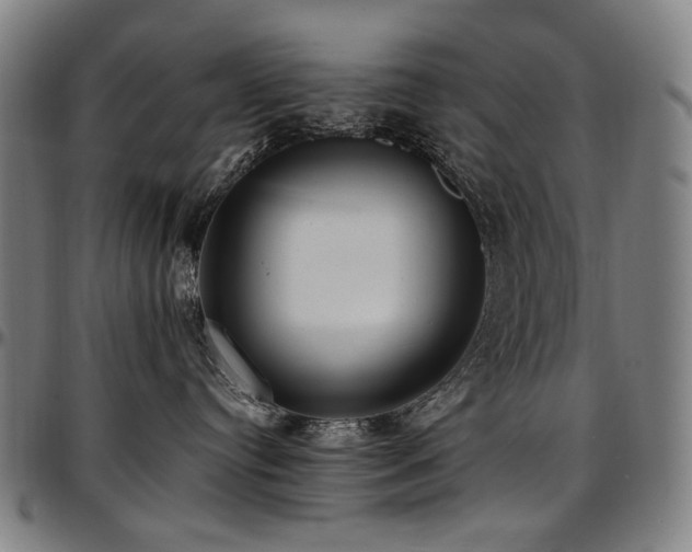 X0000097600384200802291249