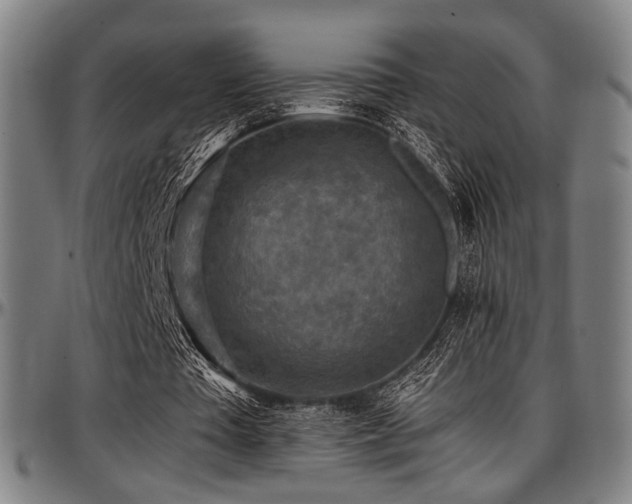 X0000097600385200802291248