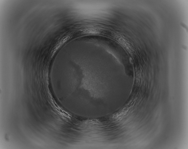 X0000097600386200802291248