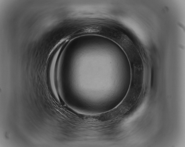 X0000097600387200802291248