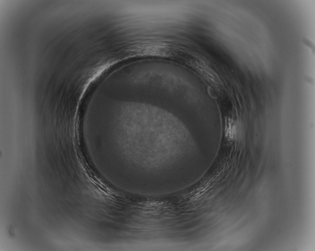 X0000097600388200802291248