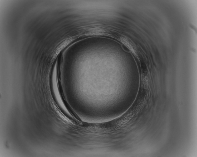 X0000097600389200802291248