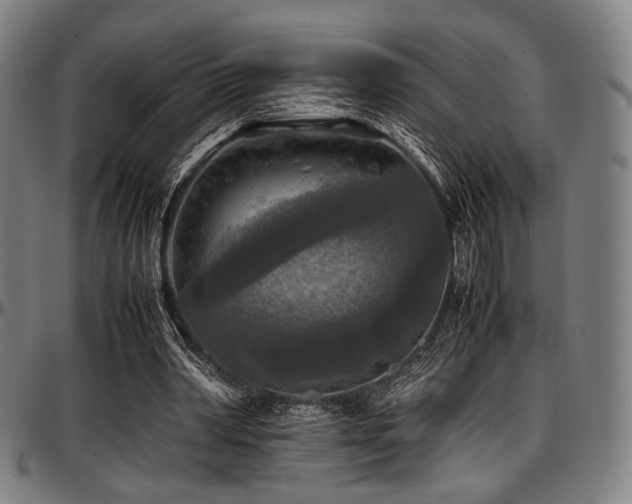 X0000097600390200802291248