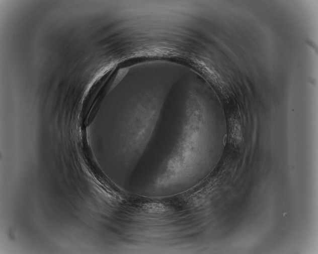 X0000097600392200802291248
