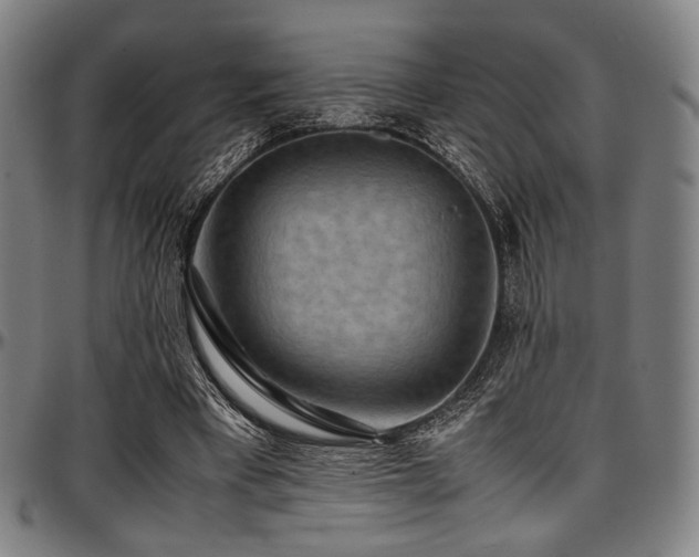 X0000097600393200802291248