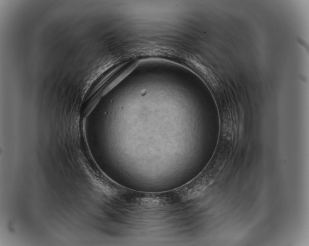 X0000097600394200802291248