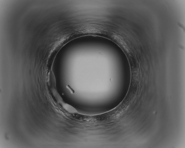 X0000097600395200802291248