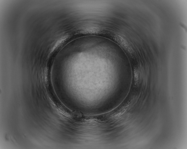 X0000097600396200802291248