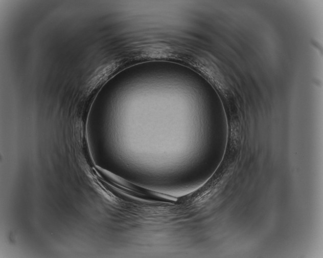 X0000097600397200802291248