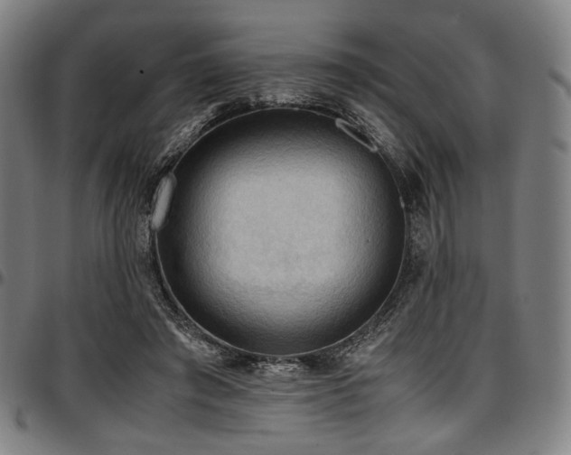 X0000097600401200802291248