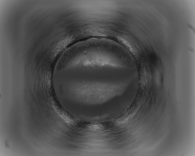 X0000097600402200802291248