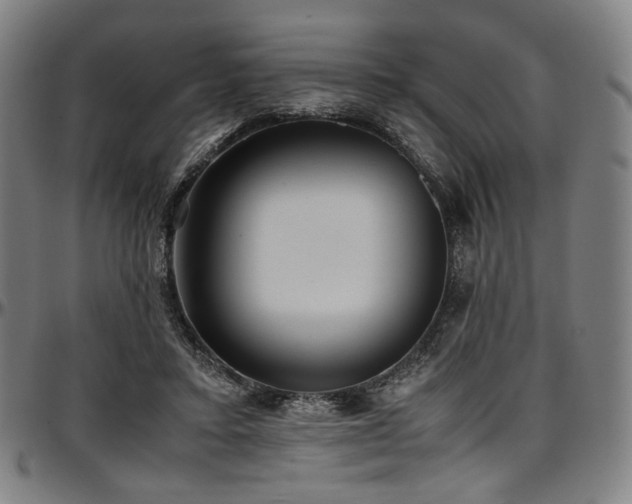 X0000097600403200802291248
