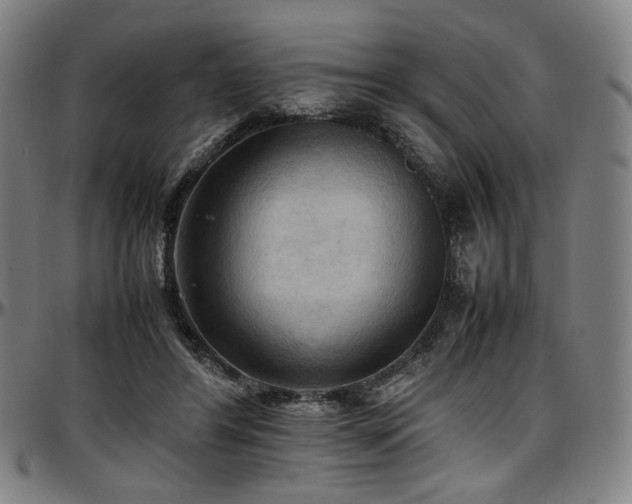 X0000097600404200802291248