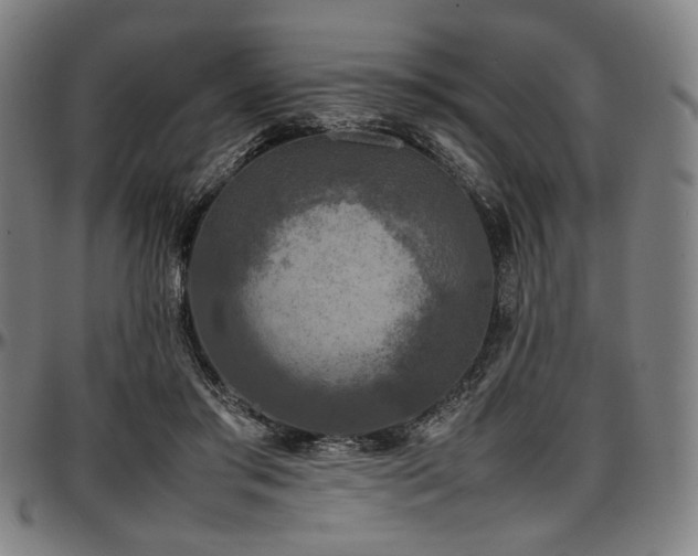 X0000097600405200802291248
