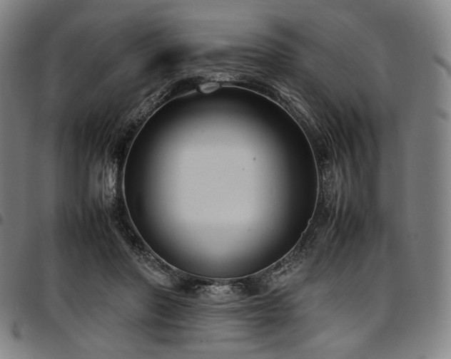 X0000097600406200802291248