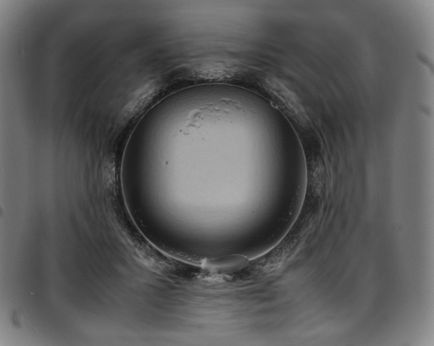 X0000097600407200802291248