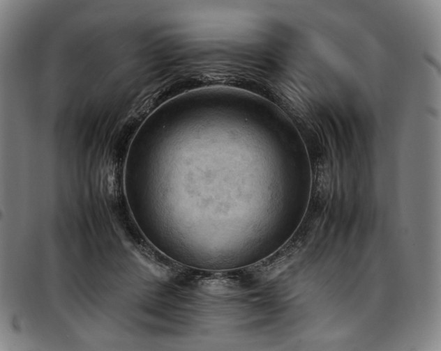 X0000097600408200802291248