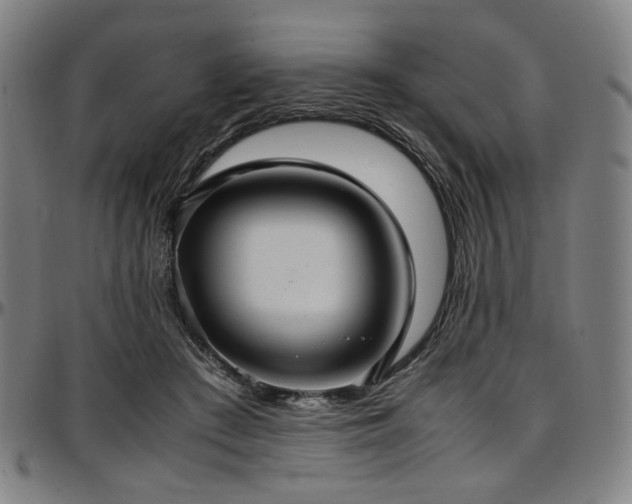 X0000097600409200802291248