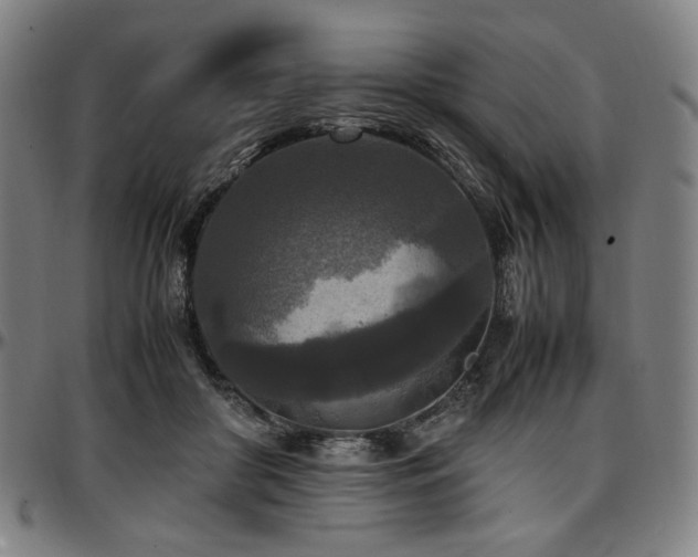 X0000097600410200802291248