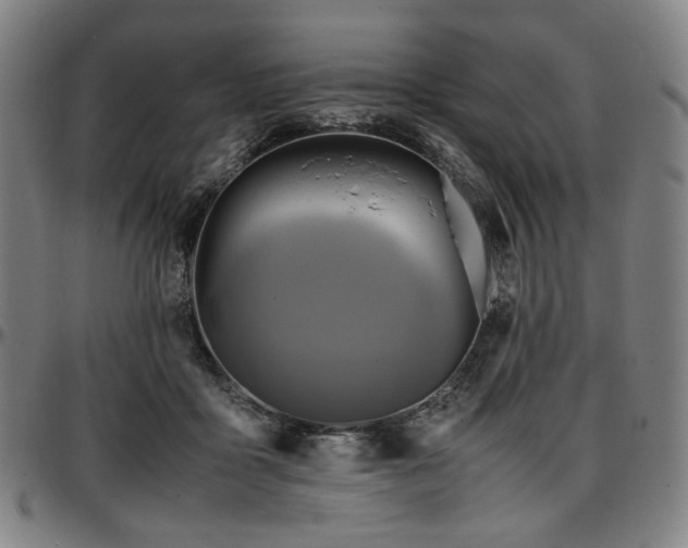 X0000097600411200802291248