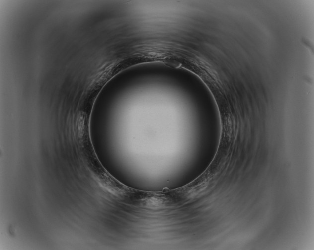 X0000097600412200802291248