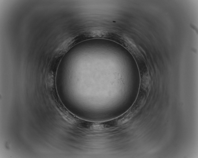 X0000097600413200802291248