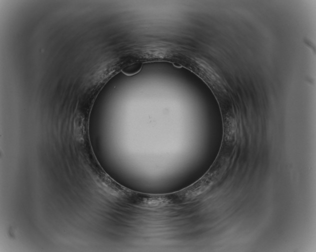 X0000097600414200802291248
