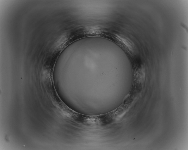 X0000097600415200802291248