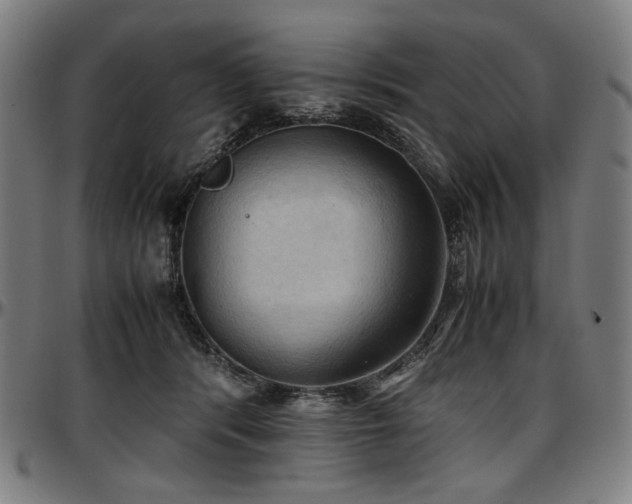 X0000097600416200802291248