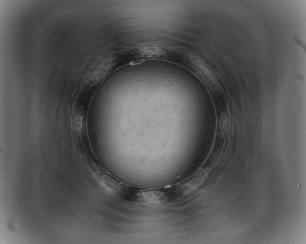 X0000097600417200802291248