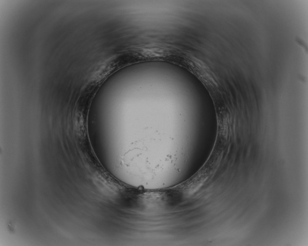X0000097600418200802291248