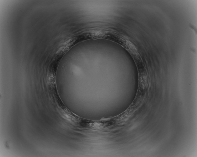 X0000097600419200802291248