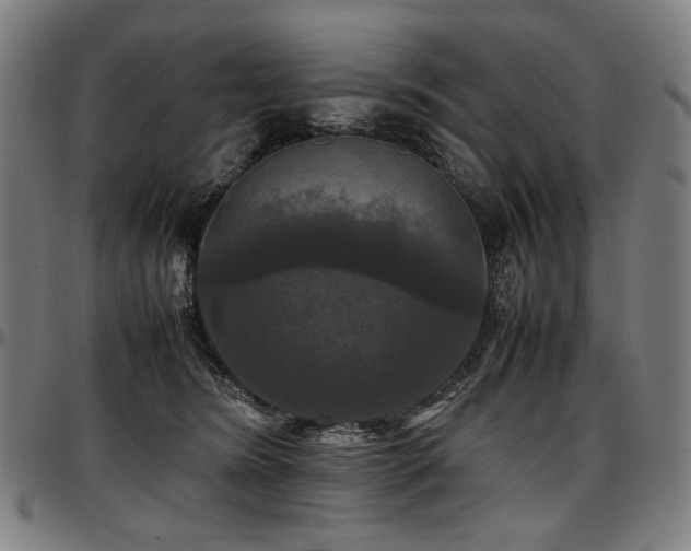 X0000097600420200802291248