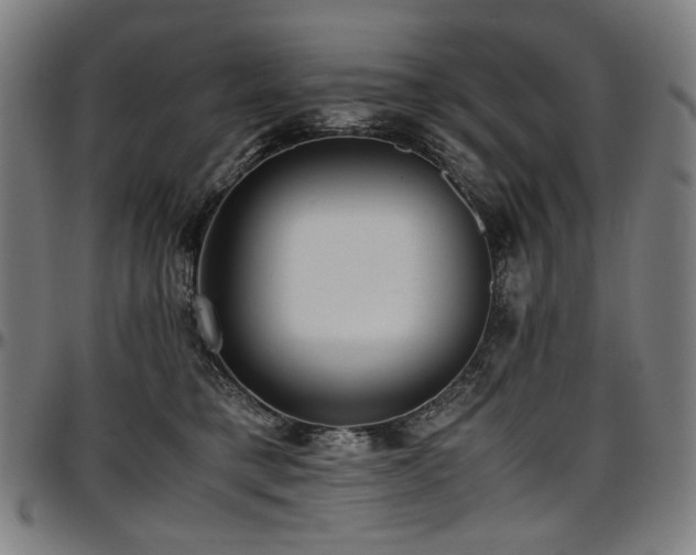 X0000097600421200802291248