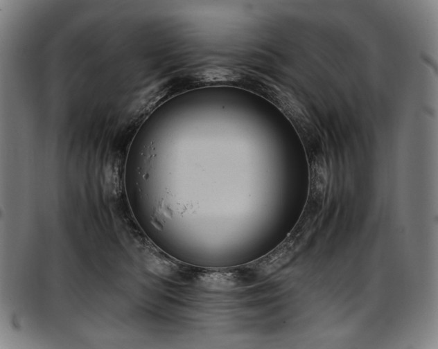 X0000097600422200802291248