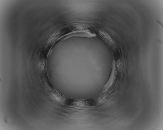 X0000097600423200802291248