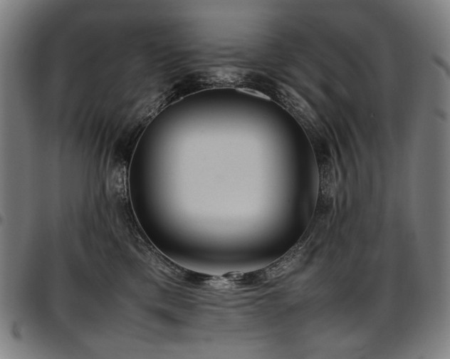 X0000097600425200802291248