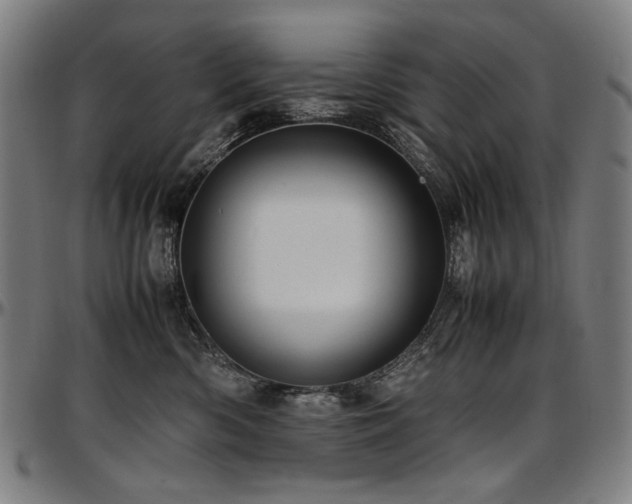 X0000097600426200802291248