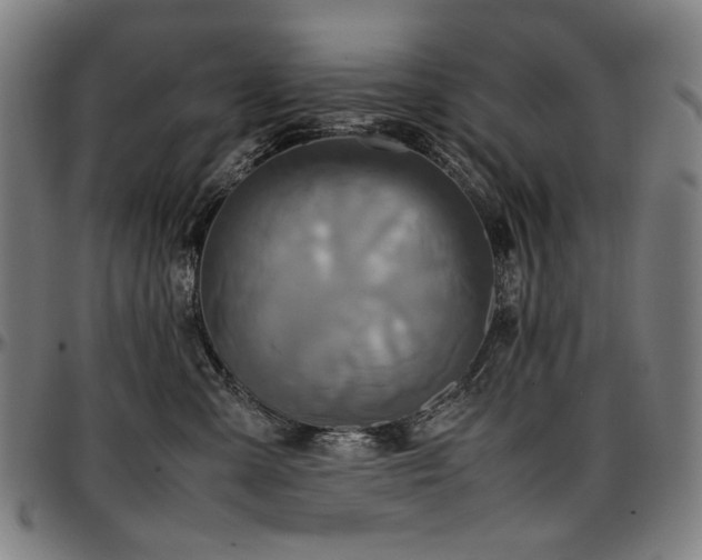 X0000097600427200802291248