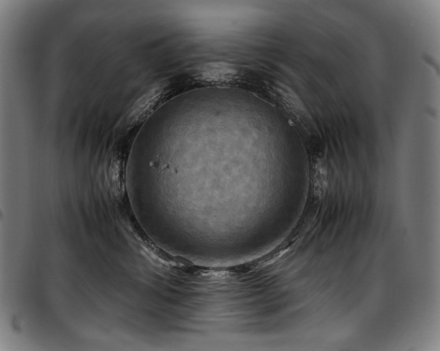 X0000097600428200802291248