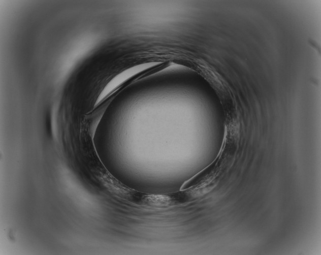 X0000097600429200802291248