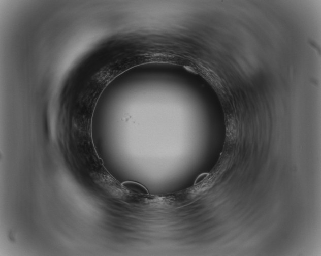 X0000097600430200802291248