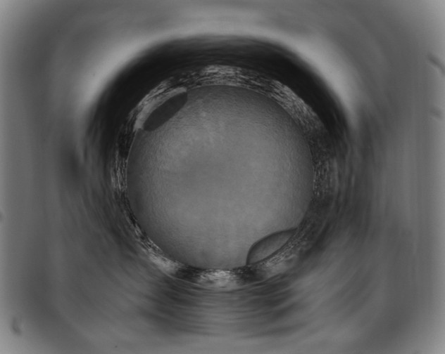 X0000097600431200802291248