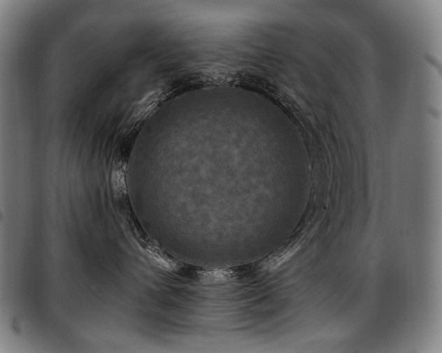 X0000097600432200802291248