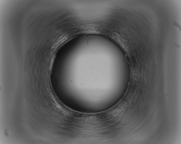 X0000097600433200802291247