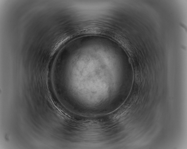 X0000097600434200802291247