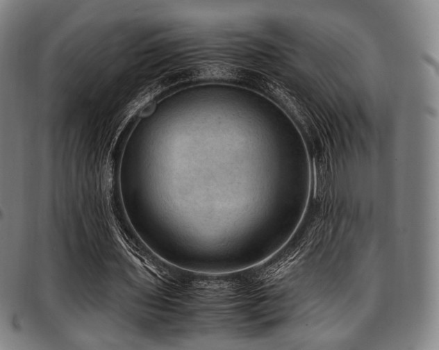 X0000097600435200802291247