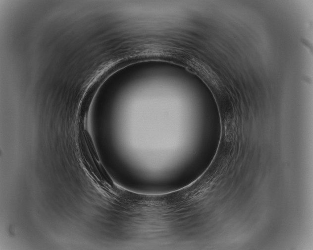 X0000097600436200802291247