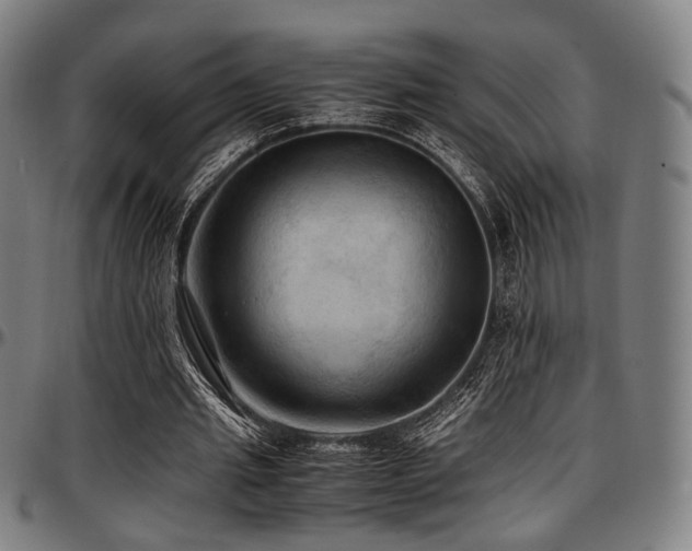 X0000097600437200802291247