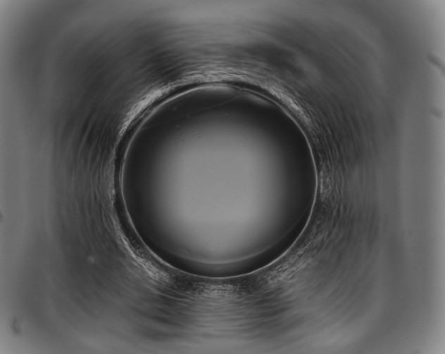 X0000097600438200802291247